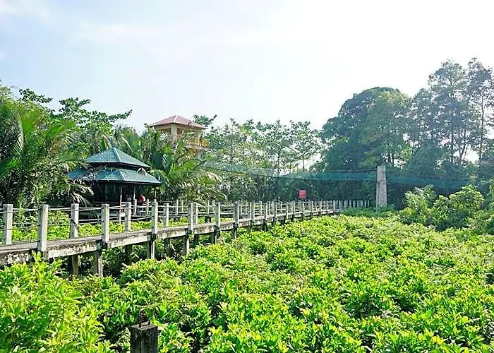 Homestay Dsenja
